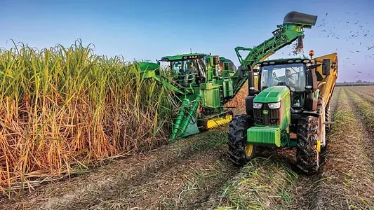 CH750 Sugar Cane Harvester